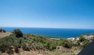 Detached Luxury Villa in Kargıcak For Sale