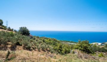 Detached Luxury Villa in Kargıcak For Sale